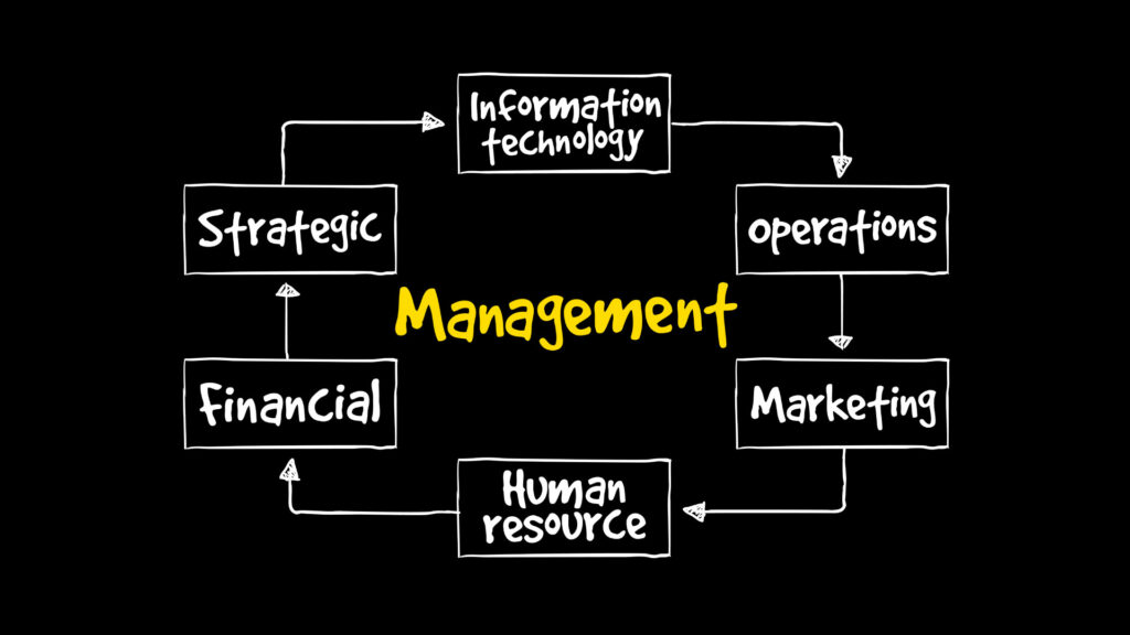 Operational Efficiency to Strategic Agility